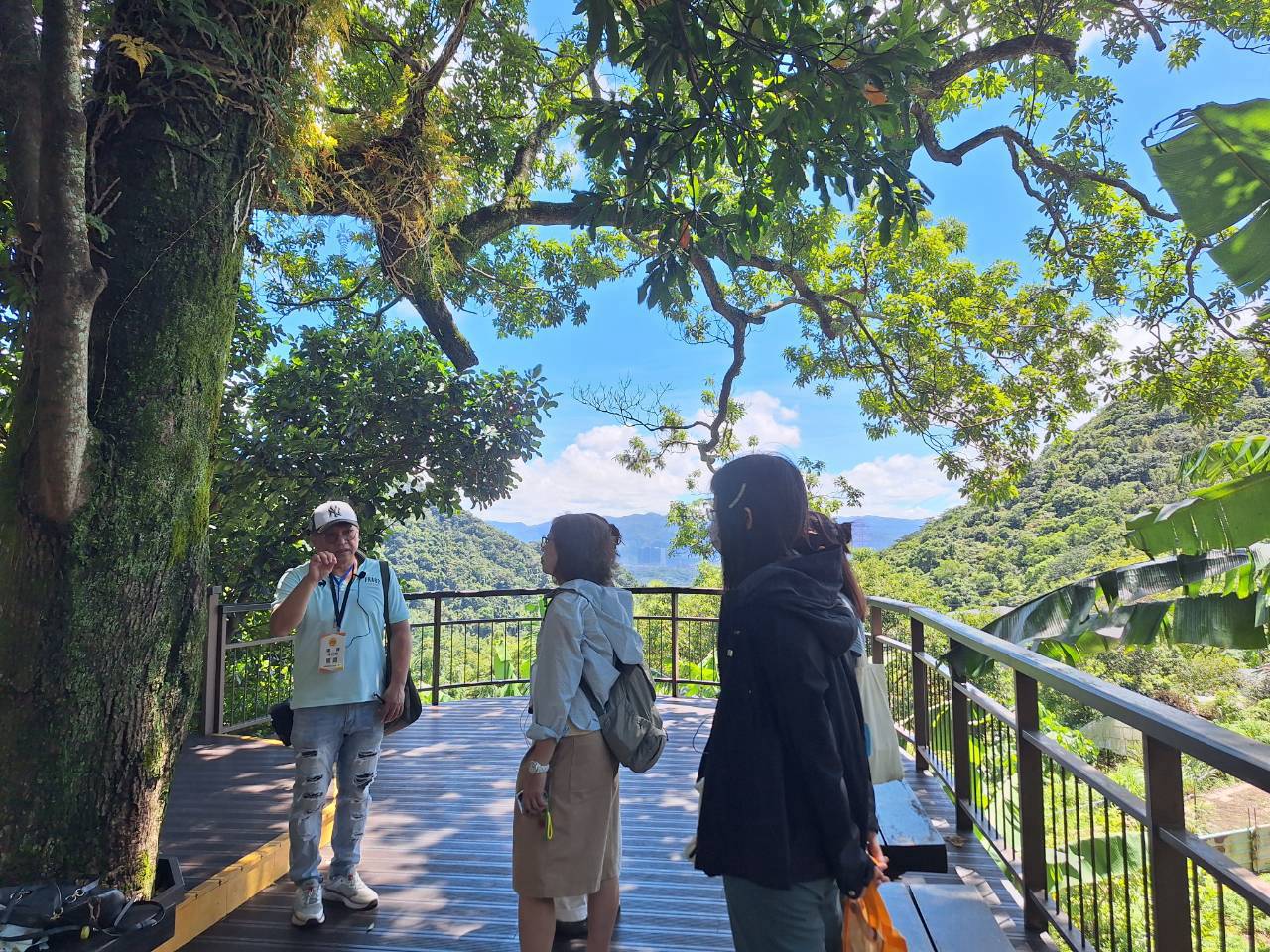 城市故事行旅實際導覽活動，講師與參與者在樹蔭步道閱讀城市地景